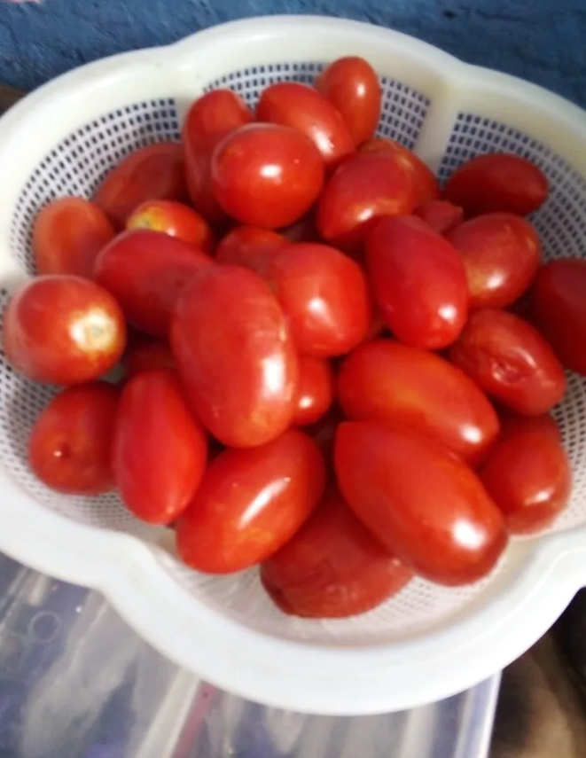  Foto: archivo personal de la autora 